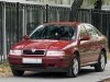 Тест-драйв Octavia Tour